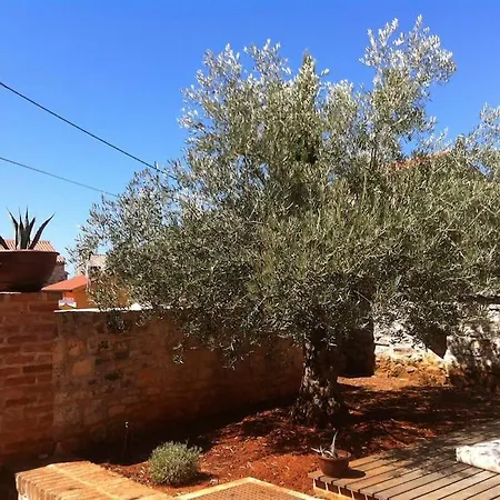 Adelaide Villa Vodnjan